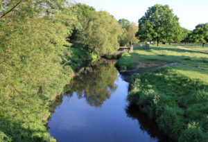 View of Beverley Brook