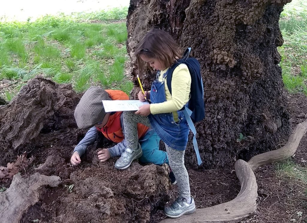 Girl taking notes about the trees