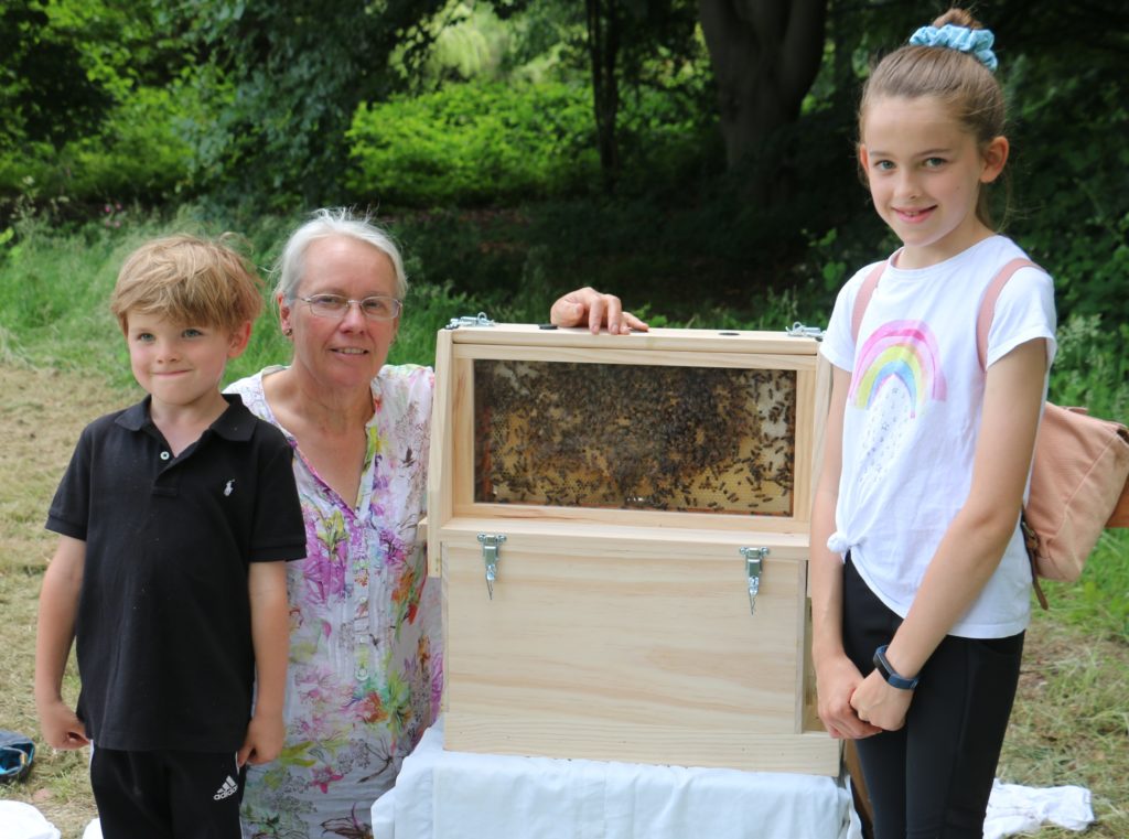 Picture of bees and children