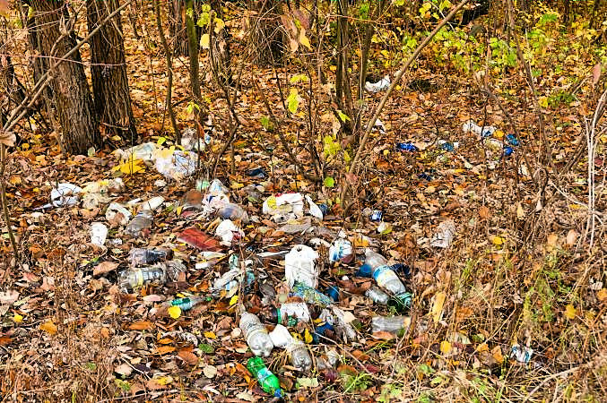 Litter in Richmond Park