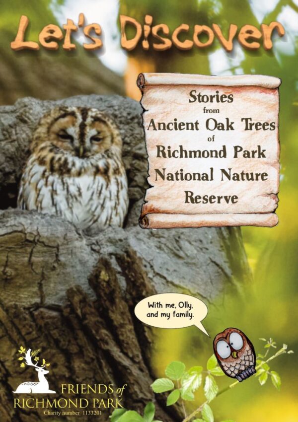 Let's Discover booklet #2 - Stories from Ancient Oak Trees