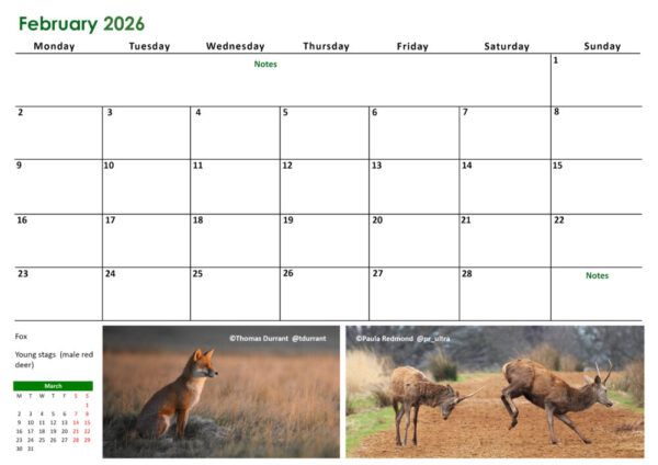 Richmond Park Calendar 2026 - Image 3