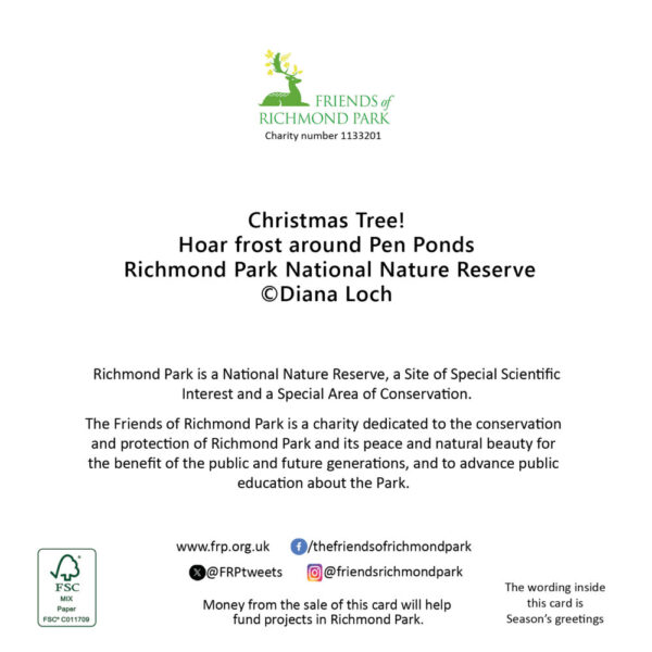 Christmas Tree - Pack of 8 Christmas cards - Image 2