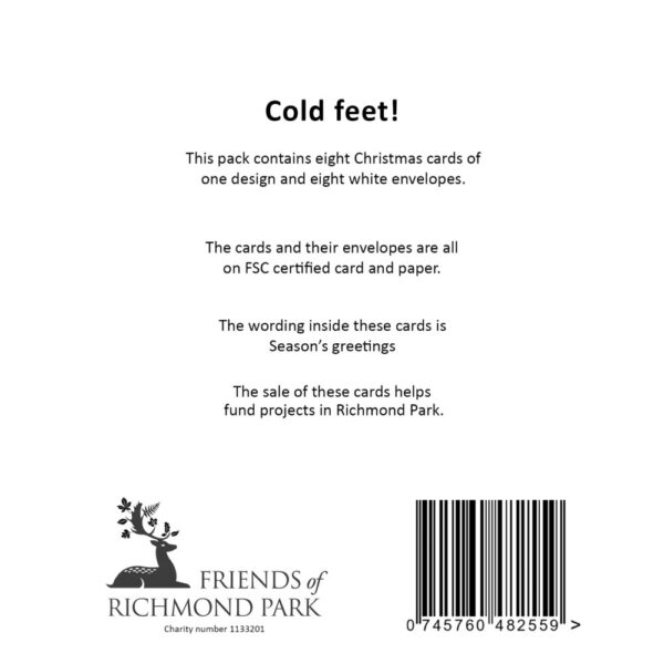 Cold Feet - Pack of 8 Christmas cards - Image 3