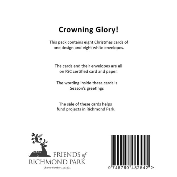 Crowning Glory - Pack of 8 Christmas cards - Image 3