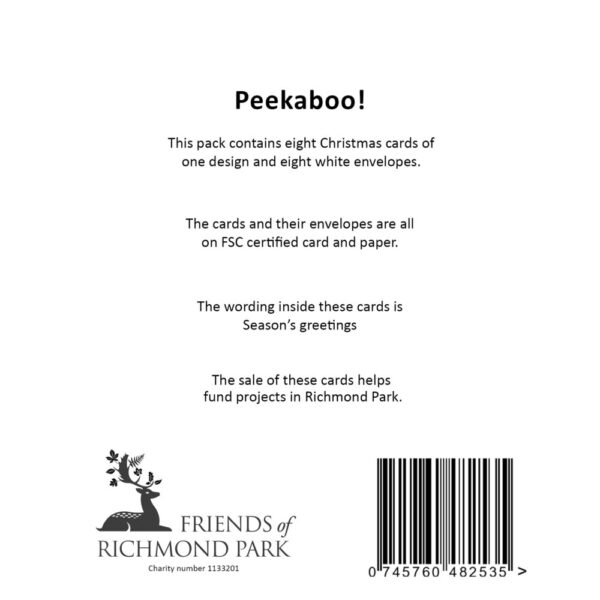 Peekaboo - Pack of 8 Christmas cards - Image 3