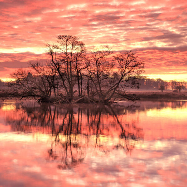 Reflections at Sunrise - Pack of 8 Christmas cards