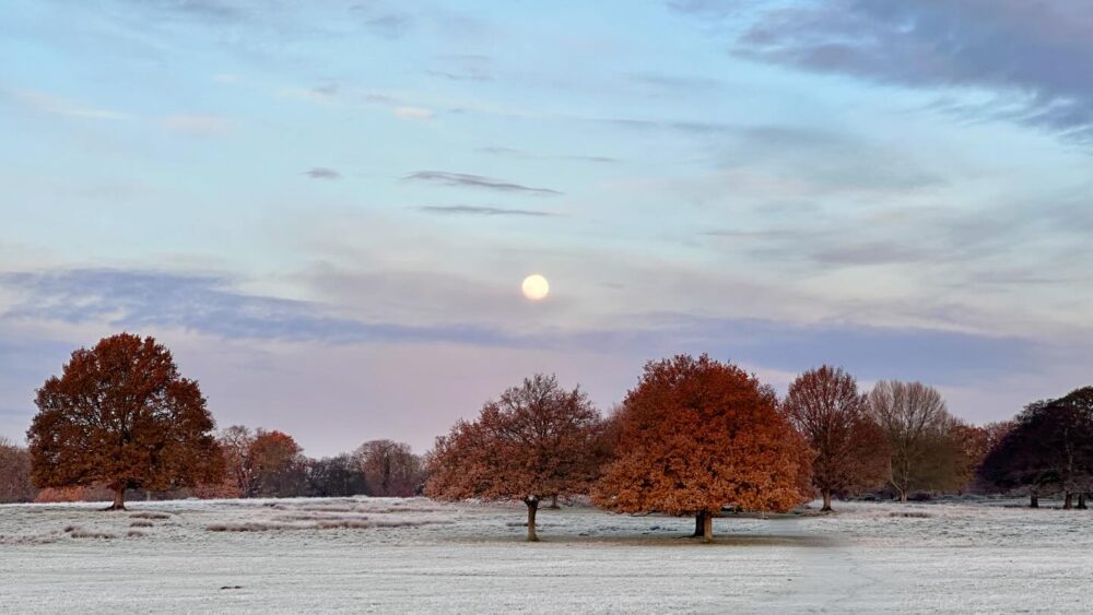 Photo Amanda Boardman