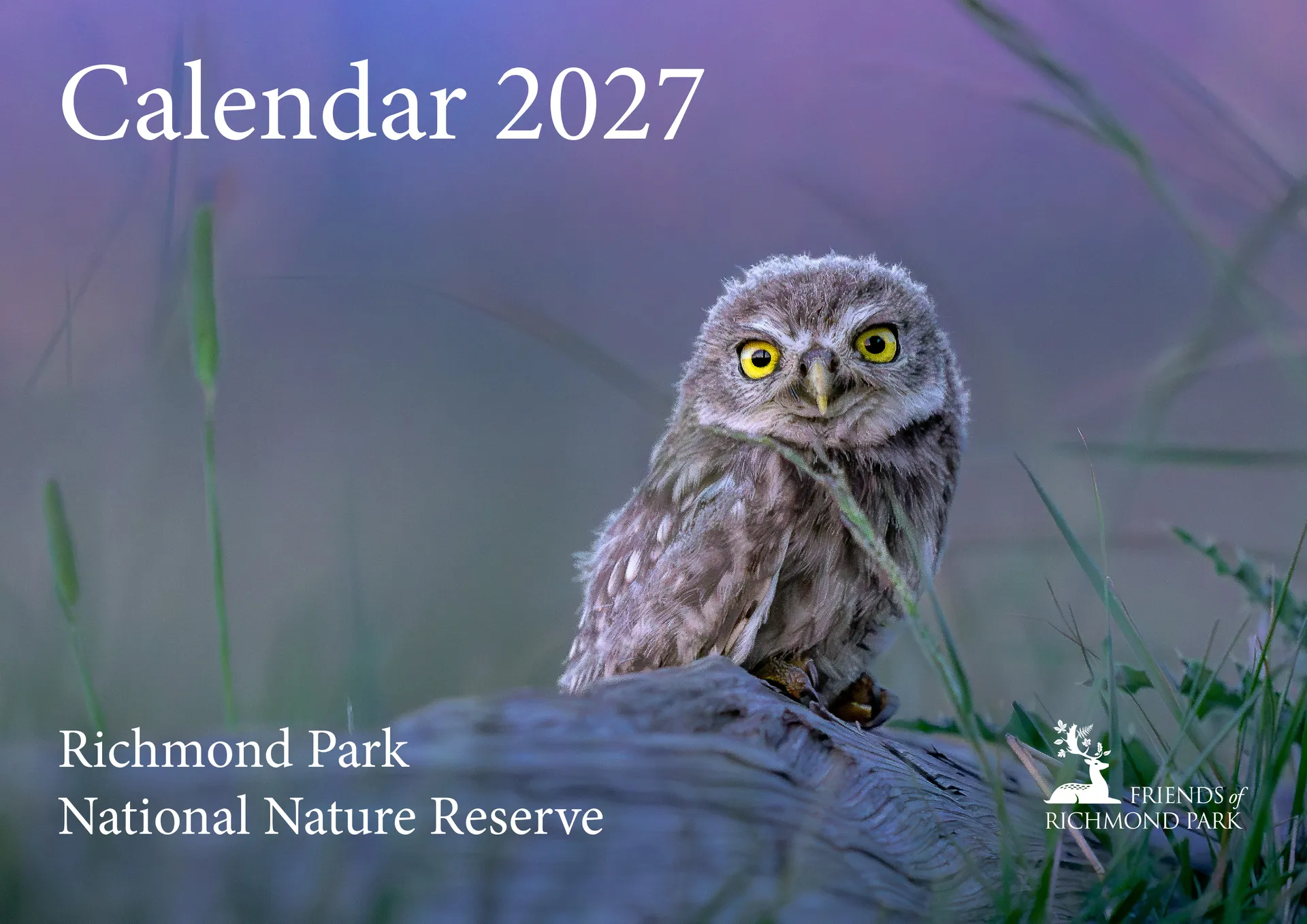 Richmond Park Calendar 2027 - Image 5